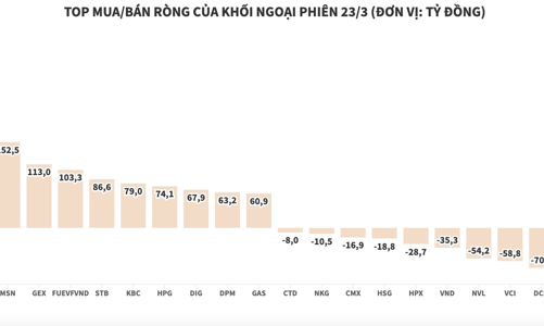 Khối ngoại tiếp tục giải ngân vào DGC thêm 310 tỷ đồng
