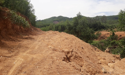 Bình Phước: Các địa phương mạnh tay xử lý những vi phạm liên quan đến đất nông nghiệp