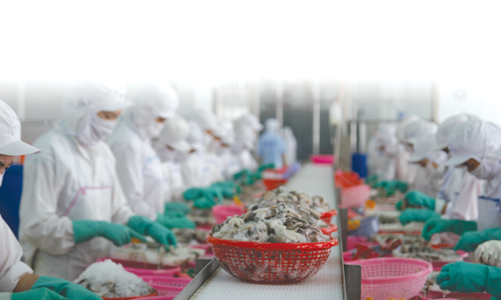 “Giảm khai thác, tăng xuất khẩu”: Thách thức lớn cho ngành thủy sản 