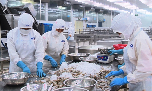 Doanh nghiệp thuỷ sản 