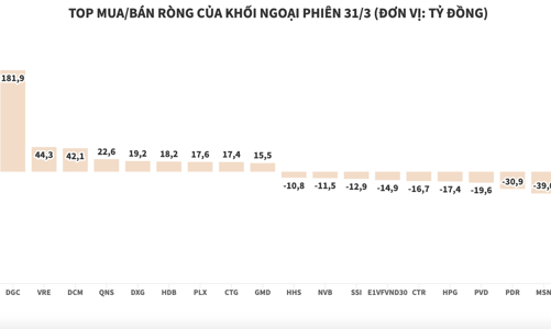 Ngoài DGC, khối ngoại giải ngân ròng mạnh vào VNM