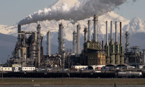 Giá dầu lao dốc vì Mỹ ồ ạt xả dự trữ, chuyên gia cảnh báo “chiến lược nguy hiểm”