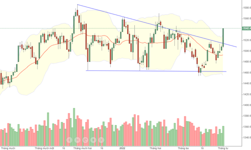 Blog chứng khoán: Đảo ngược tâm lý thành công