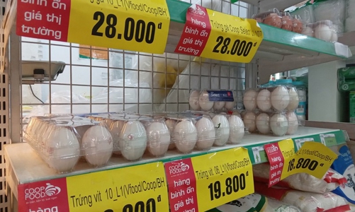 TP.HCM triển khai chương trình bình ổn thị trường 2022 - 2023