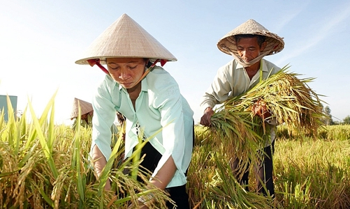 ADB cấp khoản vay 100 triệu USD hỗ trợ sinh kế các nông hộ nhỏ