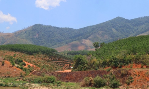 Vi phạm hành chính trong lĩnh vực đất đai: Mức phạt tiền cao nhất 1 tỷ đồng