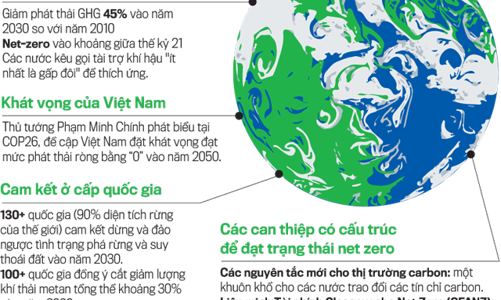 McKinsey khuyến nghị 5 ưu tiên cho hành trình phi carbon hóa ở Việt Nam