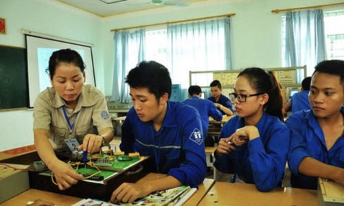 Cơ sở giáo dục nghề nghiệp không cập nhật văn bằng đào tạo lên trang tra cứu sẽ bị đình chỉ hoạt động 