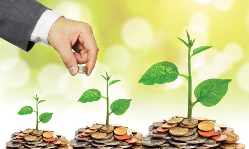 IFC đề xuất hỗ trợ, hợp tác trong tín dụng xanh và quản lý rác thải điện tử