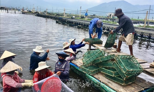 Bộ Tài chính đề xuất giảm 30% tiền thuê đất và thuê mặt nước trong năm 2022
