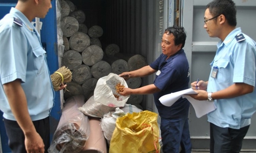 Hải quan Quảng Ninh cưỡng chế hơn 70 doanh nghiệp nợ thuế chây ỳ gần 123 tỷ đồng