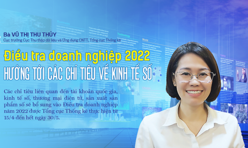 Điều tra doanh nghiệp 2022 hướng tới các chỉ tiêu về kinh tế số