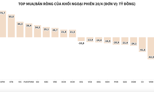Thị trường càng giảm sâu, khối ngoại càng tăng lực mua ròng