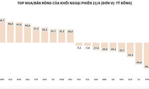 Khối ngoại tiếp tục mua ròng 921 tỷ đồng khi thị trường giảm sâu