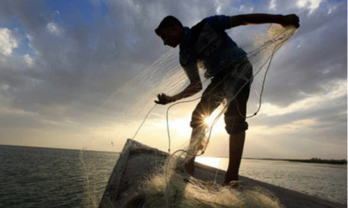 Khối ngoại và tổ chức trong nước chi 5.400 tỷ bắt đáy trong tuần VN-Index 