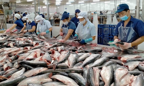 Doanh nghiệp cá tra Việt Nam tìm kiếm cơ hội ở Hội chợ thủy sản toàn cầu 