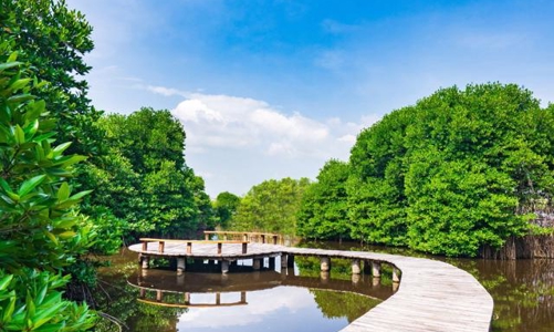 Chuyên gia phong thủy đánh giá cao Wyndham Grand Lagoona Bình Châu 