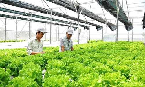 Cung cấp 100 triệu đồng, hỗ trợ doanh nghiệp thử nghiệm mô hình kinh doanh mới