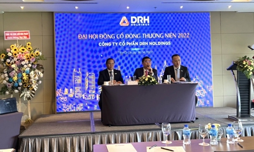 Năm 2022, doanh thu của DRH 800 tỷ đồng