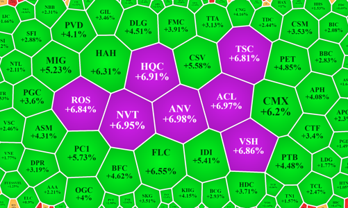 Dòng tiền hạn chế, cổ phiếu nhỏ lợi đà tăng cả loạt