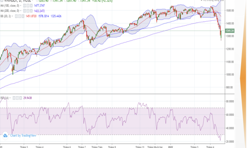 VN-Index đã vào vùng quá bán, thị trường sẽ hồi phục trong tháng 5?