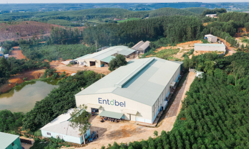 Mekong Capital và Dragon Capital rót 30 triệu USD vào startup chế biến thức ăn chăn nuôi từ ruồi