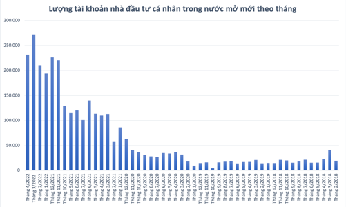 Thêm 232.000 tài khoản cá nhân mở mới trong tháng 4 bất chấp thị trường rớt thảm