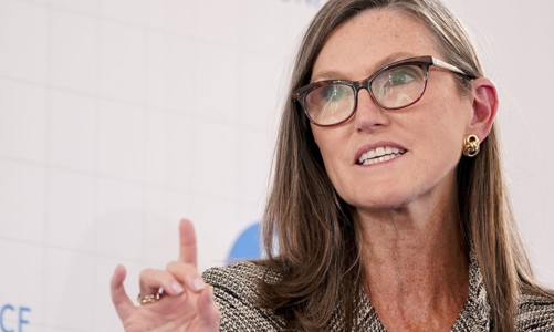 Đến “bà hoàng” cổ phiếu Cathie Wood cũng đang hứng thua lỗ