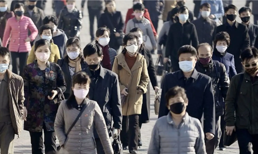 Biến thể phụ Omicron BA.2 tại Triều Tiên có nguy cơ tạo ra biến thể mới?