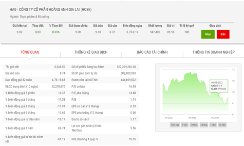 HAG bị phạt 3 tỷ và đình chỉ hoạt động giao dịch chứng khoán trong 5 tháng 