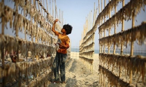 1,5 tỷ trẻ em chưa được hưởng trợ cấp an sinh xã hội 