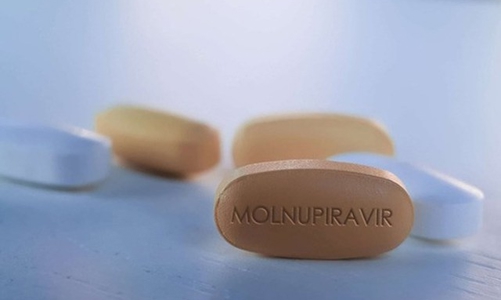 Cấp phép thêm một thuốc Molnupiravir điều trị Covid-19