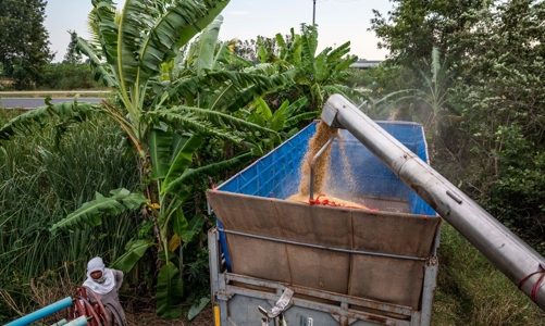 Thái Lan đang “kiếm đậm” nhờ xuất khẩu lương thực, thực phẩm