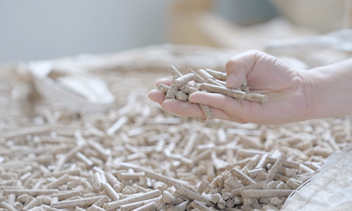 Chung tay ứng phó với biến đổi khí hậu 