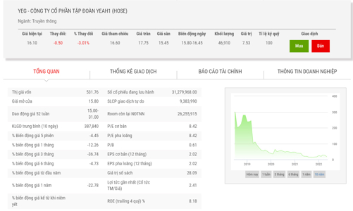 Sắp kết thúc nhiệm kỳ, Chủ tịch đăng ký bán hết 12,89% vốn tại YEG
