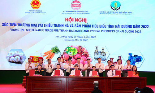 Nhiều doanh nghiệp muốn tiêu thụ vải và các sản phẩm  tiêu biểu của tỉnh Hải Dương