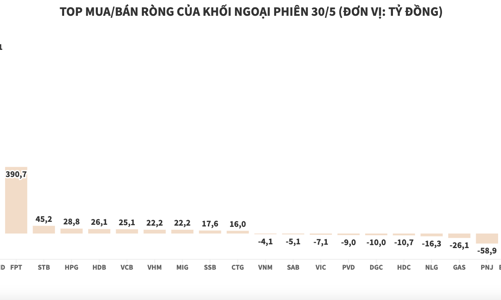 Khối ngoại tiếp tục chi thêm 1.135 tỷ đồng mua chứng chỉ quỹ FUEVFVND