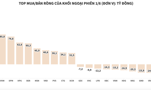 Khối ngoại tiếp tục mua ròng, tập trung gom cổ phiếu hóa chất và phân bón         
