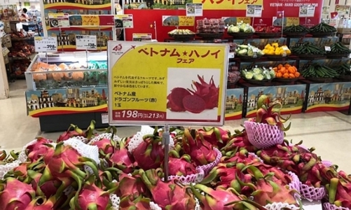 Doanh nhân Việt kiều sẽ đưa hàng Việt mở rộng thị trường nước ngoài