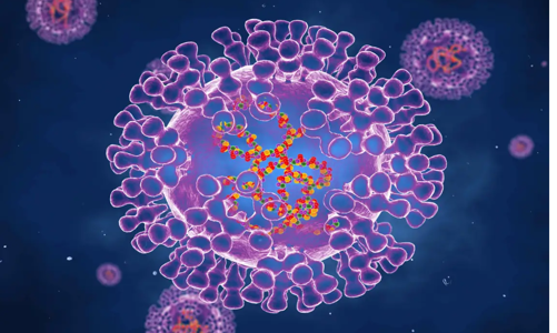 Vương quốc Anh thừa nhận đậu mùa khỉ đang lây lan từ người sang người