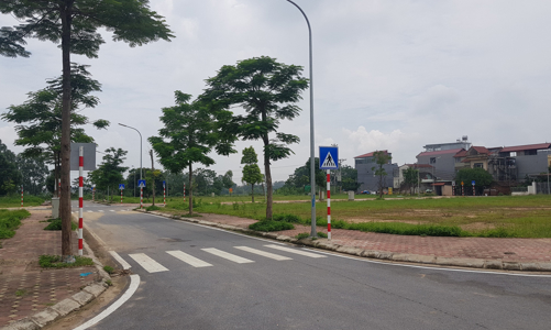 Mê Linh đấu giá thành công 17 thửa đất, thu về hơn 98 tỷ đồng