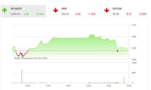 Chưa vượt được mốc 1.300 điểm nhưng thị trường đang có sự phân hoá tích cực