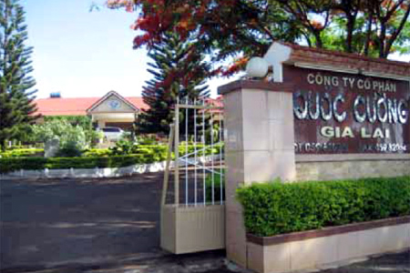 Sau khi thanh tra vào cuộc, Quốc Cường Gia Lai bị xử phạt 2,3 tỷ đồng 