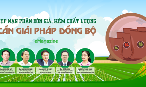 Dẹp nạn phân bón giả, kém chất lượng: Cần giải pháp đồng bộ 