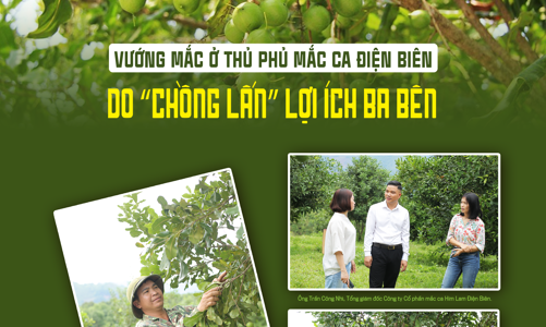 Vướng mắc ở thủ phủ mắc ca Điện Biên: Do “chồng lấn” lợi ích ba bên