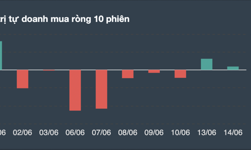 Thị trường hồi, tự doanh tranh thủ xả hàng toàn cổ phiếu bán lẻ