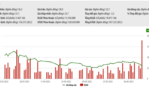 Không công bố báo cáo sử dụng vốn, Tasco bị phạt 60 triệu đồng