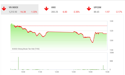 Tiếp tục giảm điểm, công ty chứng khoán cho rằng thị trường hiện đang phù hợp với các nhà đầu tư dài hạn