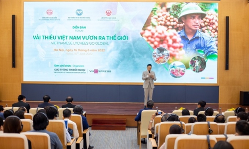 Nâng tầm thương hiệu để vải thiều Việt Nam 