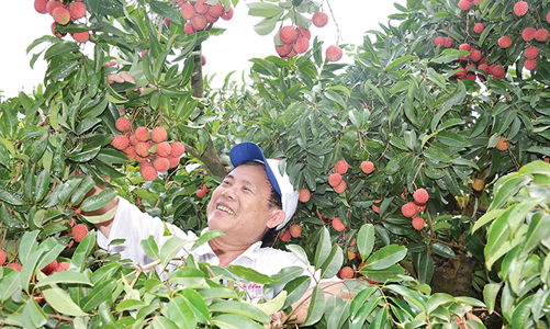 Báo chí góp phần định hình chiến lược phát triển nông nghiệp